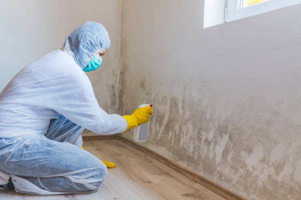 Hvac And Air Duct Mold Remediation inspection of HVAC system in Topping