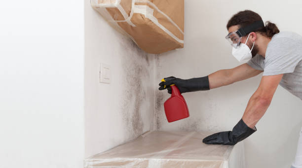 Attic Mold Remediation treatment on roof deck in Topping