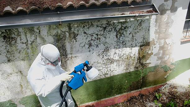 Mold Remediation service in Topping, Topping, VA